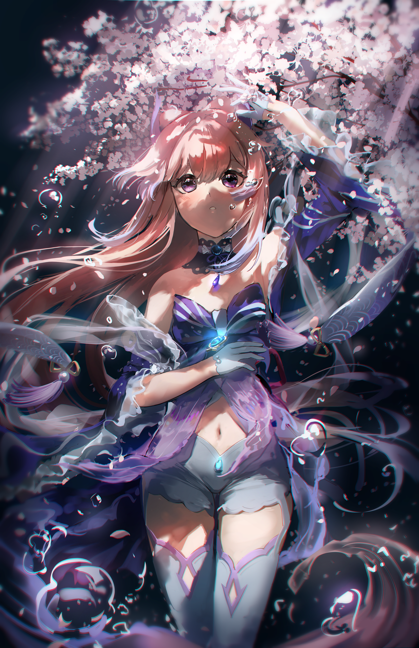 Kokomi Night