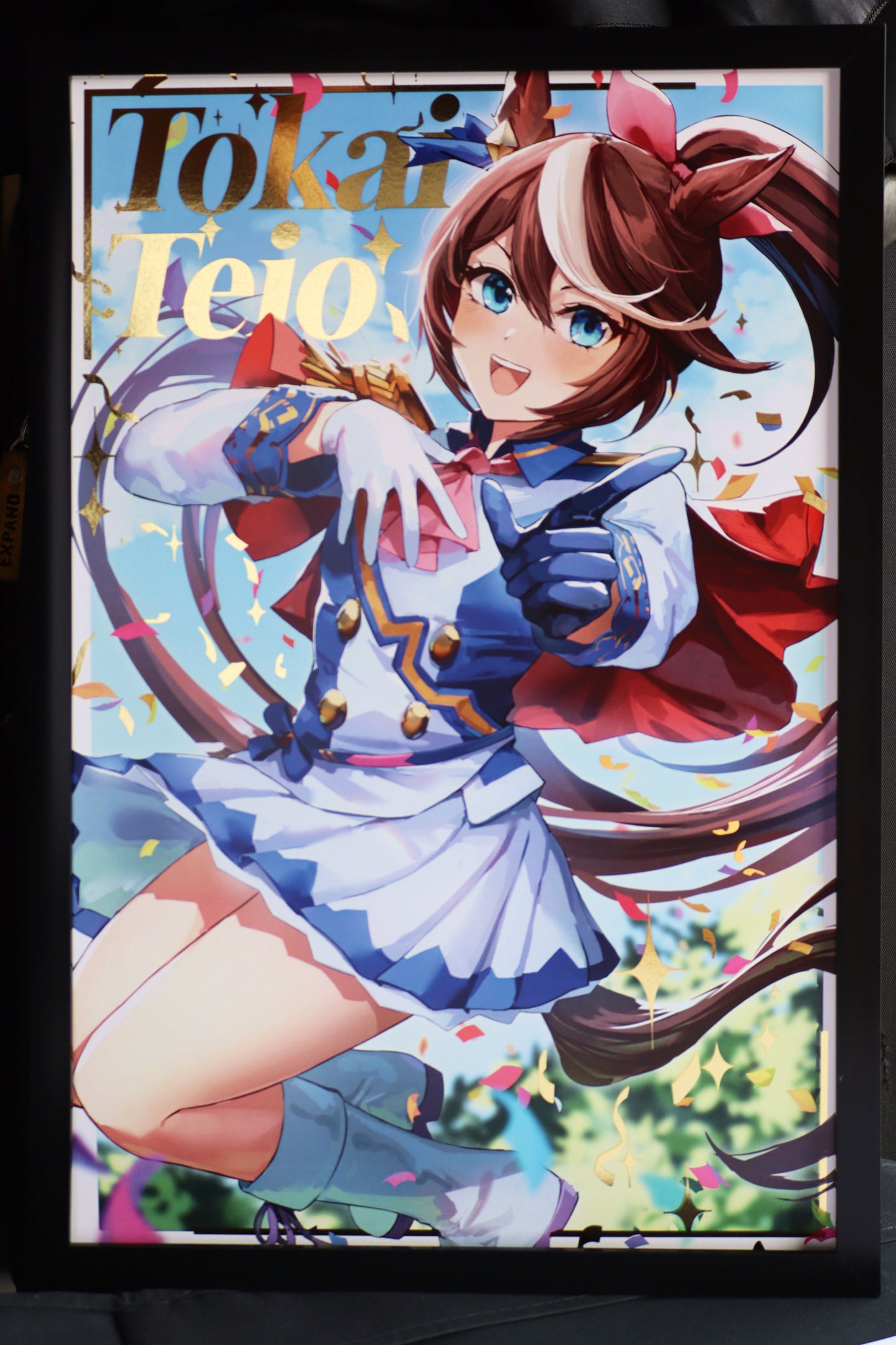 Tokai Teio